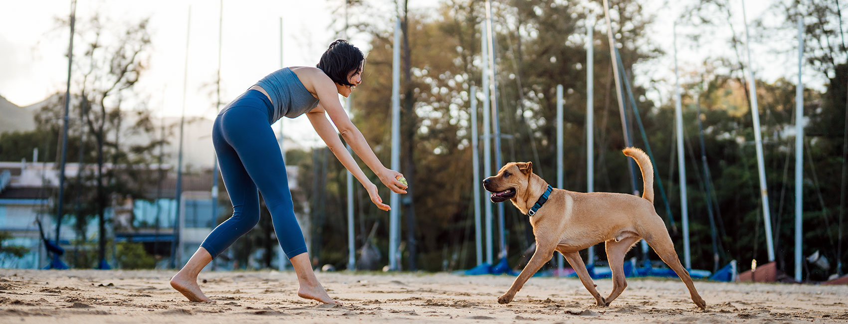 Women is playing with her dog at the beach