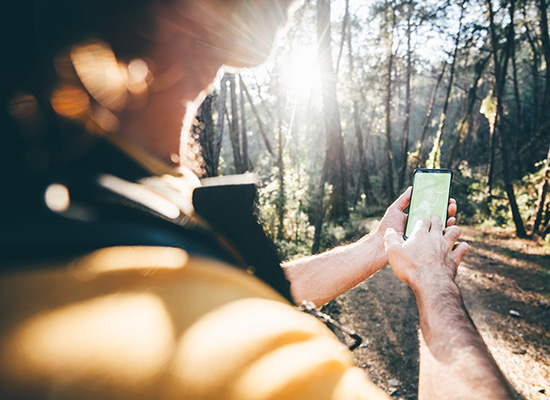 Person in forested trail looking at map on mobile phone