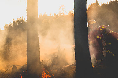 Firefighter and forest fire flames